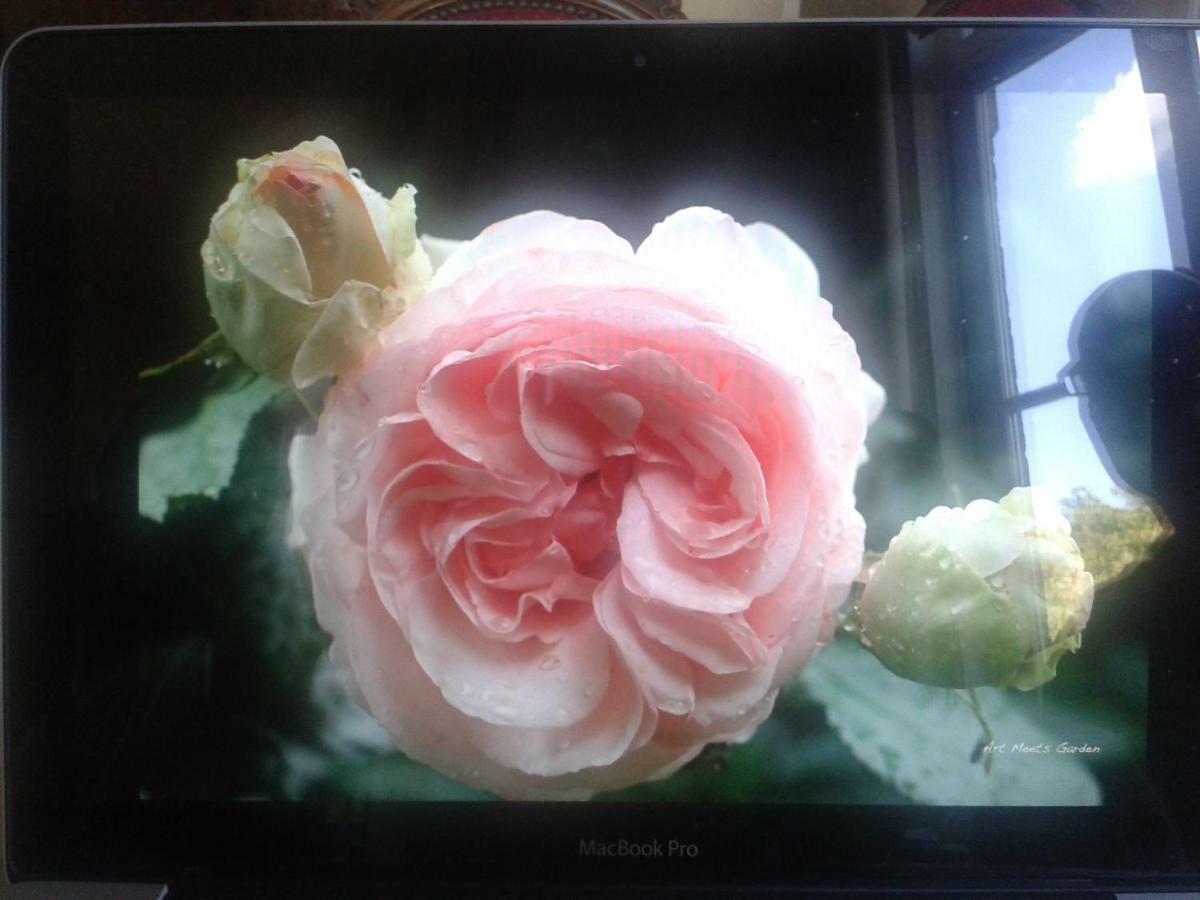 La Villa Des Roses Durbuy Luaran gambar