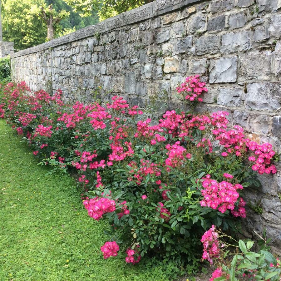 La Villa Des Roses Durbuy Luaran gambar